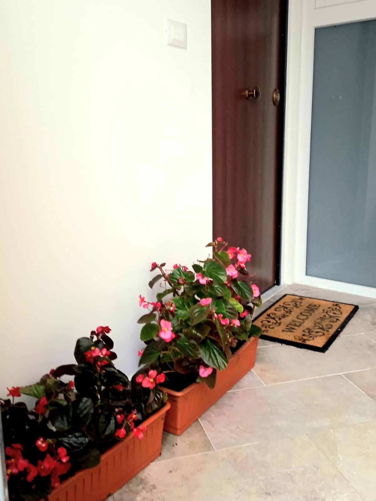 Apartament Casa Delle Begonie Rzym Zewnętrze zdjęcie