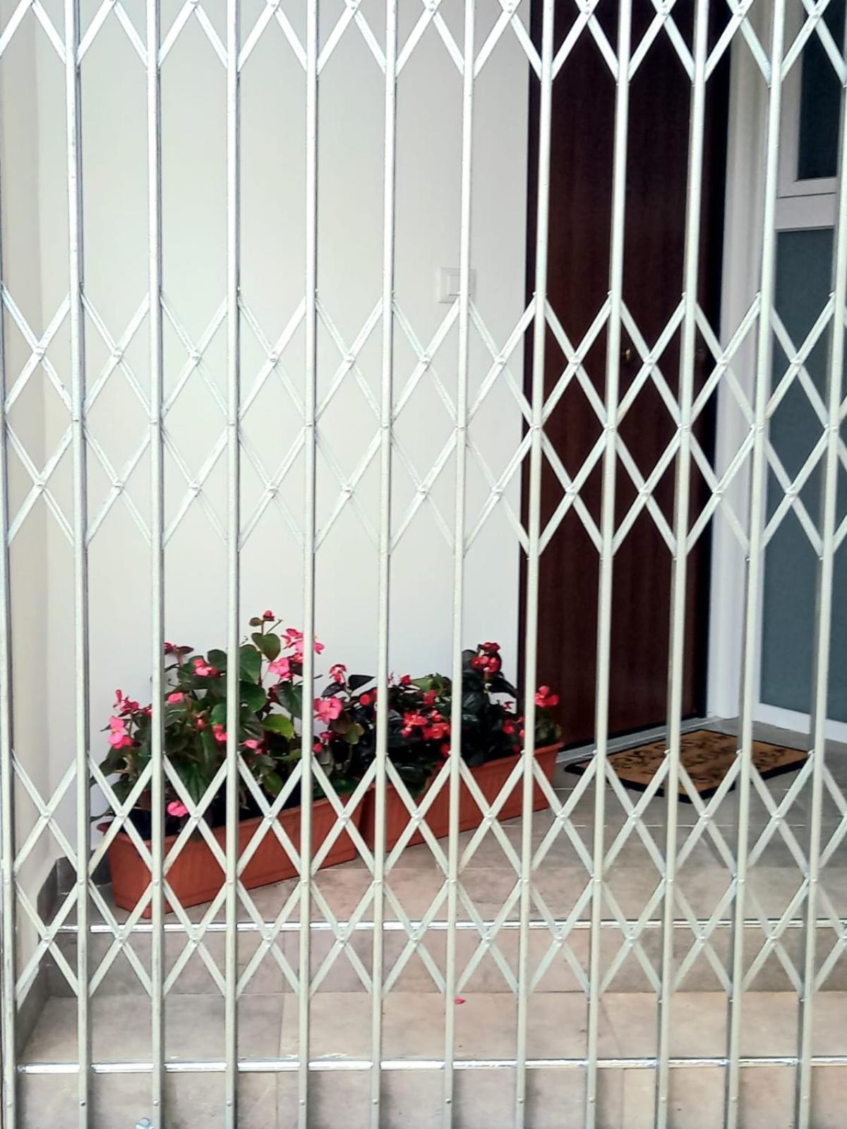 Apartament Casa Delle Begonie Rzym Zewnętrze zdjęcie